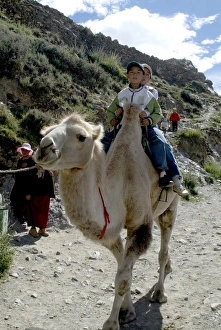 Two Boys Prints: Camel riders, Yumbulagung Castle, Tibet, China, Asia