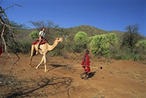 Tribal People Prints: Camel safari