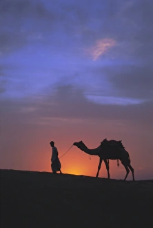 Jaisalmer Prints: Camel silhouetted against the sunset