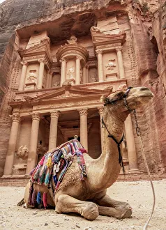 Jordan Prints: Camel in front of The Treasury (Al-Khazneh), Petra, UNESCO World Heritage Site, Ma an