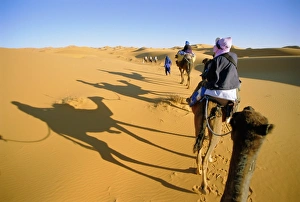 Turban Prints: Camel trek in Sahara dunes near Merzouga
