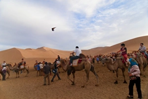 Dun Huang Prints: Camel trekking, Whistling Dune, desert, Dunhuang, Gansu, China, Asia