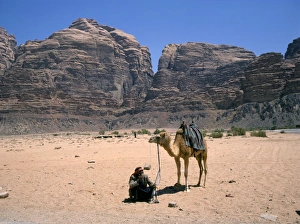 Rock Cliff Prints: Camel, Wadi Rum