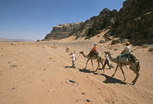 Wadi Rum Prints: Camels in the desert