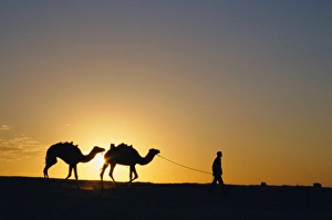 Journeying Prints: Camels and guide