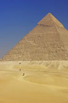 Camels Prints: Camels near Pyramid, Giza, UNESCO World Heritage Site, near Cairo, Egypt