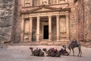 Camels in front of the Treasury, Petra, UNESCO World Heritage Site, Jordan, Middle East