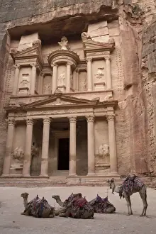 Camels Prints: Camels in front of the Treasury, Petra, UNESCO World Heritage Site, Jordan, Middle East