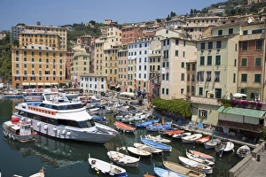 Images Dated 27th June 2008: Camogli, Liguria, Italy, Europe