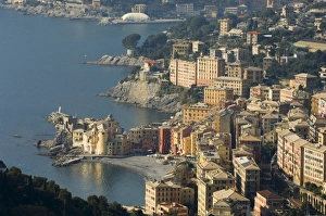 Liguria Prints: Camogli, Riviera di Levante