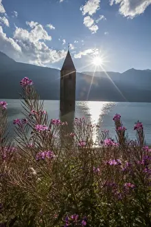 Church Tower Prints: Campanile nel Lago di Resia, rising above Lago di Resia (Reschensee) (Lake Reschen)