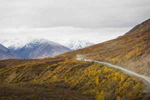 Dust Gallery: Camper buses driving into the heart of Denali National Park, Alaska, United States of America