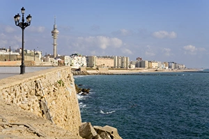 Cadiz Gallery: Campo Del Sur, Cadiz, Andalusia, Spain, Europe