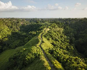 Lush Foliage Prints: Campuhan Ridge, Ubud, Bali, Indonesia, Southeast Asia, Asia