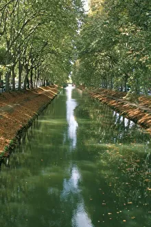 Images Dated 30th July 2008: Canal de Brienne, town of Toulouse, Haute Garonne, Midi-Pyrenees, France, Europe