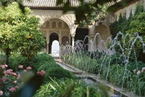 Trave Prints: The Canal Court of the Generalife gardens in May