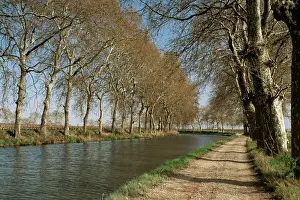 Canal Prints: Canal du Midi, near Capestang, Languedoc-Roussillon, France, Europe