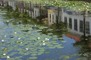 Nymphaeaceae Prints: Canal scene with reflections and floating lilies, Delft, Holland, Europe