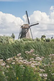 South Holland Prints: Canal and windmills, Kinderdijk