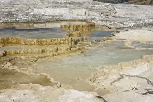Geothermal Gallery: Canary Spring, Travertine Terraces, Mammoth Hot Springs, Yellowstone National Park