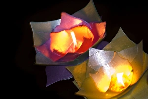 Li Jiang Prints: Candles floating in river at night, Lijiang old town, Yunnan, China, Asia