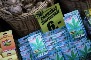 Stall Prints: Cannabis seed packets for sale in the Bloemenmarkt (flower market), Amsterdam