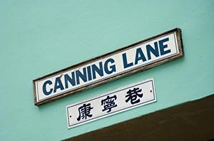Street Sign Prints: Canning Lane sign