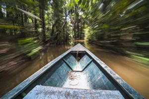 Boat Trip Prints: Canoe boat trip in Amazon Jungle of Peru, by Sandoval Lake in Tambopata National Reserve