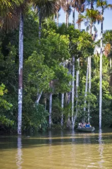 Boat Trip Prints: Canoe boat trip on Sandoval Lake, Tambopata National Reserve, Amazon Jungle of Peru