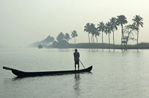 Alleppey Prints: Canoe at dawn on backwaters, Alleppey District, Kerala, India, Asia