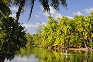 Images Dated 21st July 2008: Canoe on Faie Bay, Huahine, French Polynesia, South Pacific Ocean, Pacific