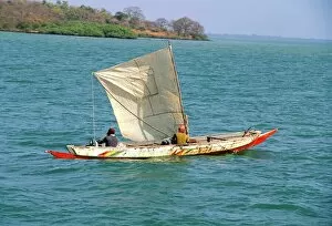Images Dated 25th July 2008: Canoe with sail, River Gambia, the Gambia, West Africa, Africa