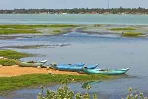 Eastern Province Prints: Canoes by Arugam Lagoon, known for its wildlife