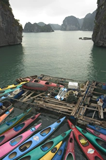 Canoeing Prints: Canoes, Halong Bay