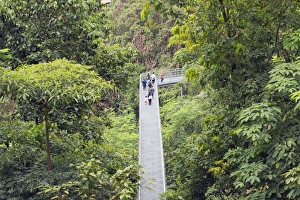 Walkways Prints: Canopy walk, Southern Ridges, Singapore, Southeast Asia, Asia