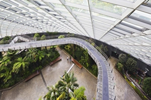 Walkways Prints: Canopy walkway, Gardens by the Bay