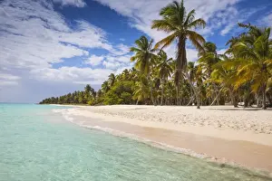 Canto de la Playa, Saona Island, Parque Nacional del Este, Punta Cana, Dominican Republic