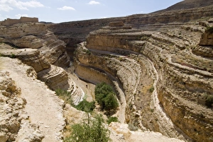 Arid Landscape Prints: Canyon, Mides