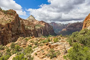 Canyon Overlook, Zion National Park, Utah, United States of America, North America