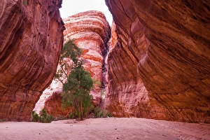 Dusty Prints: Canyon with sandstone walls in the Sharaan Nature Reserve