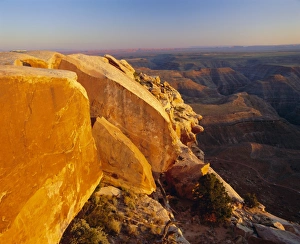 Canyonlands Prints: Canyonlands National Park
