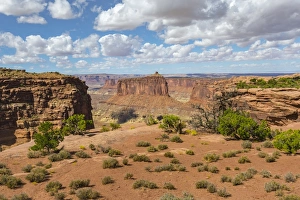 Moab Prints: Canyonlands National Park, Moab, Utah, United States of America, North America
