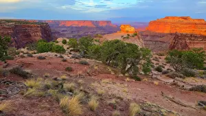 Canyonlands Prints: Canyonlands National Park offers vast landscapes with colorful rock formations at sunset in Utah
