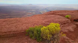 Canyonlands Prints: Canyonlands National Park offers views of rock formations and greenery in Utah's vast landscape