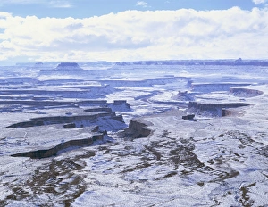 Canyonlands Prints: Canyonlands National Park in winter