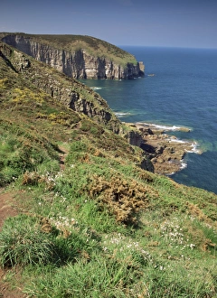 Head Land Prints: Cap Frehel, Cote d Emeraude, Cotes d Armor, Brittany, France, Europe