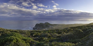 Cape of Good Hope, Cape Point National Park, Cape Town, Western Cape, South Africa