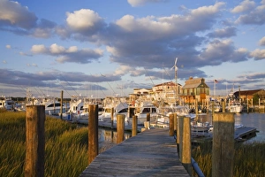 New Jersey Prints: Cape May Harbor, Cape May County, New Jersey, United States of America, North America