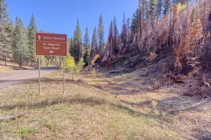 Grand Prints: Cape Royal Road turnoff shows effects of Dragon Bravo Wildfire at Grand Canyon North Rim in Arizona during