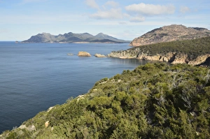 Inlet Prints: Cape Tourville, Freycinet National Park, Freycinet Peninsula, Tasmania